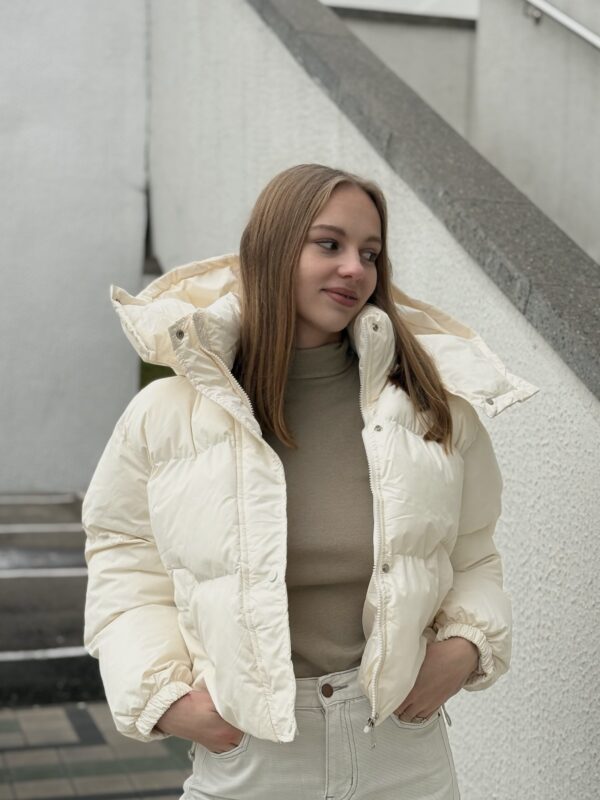 Изображение продукта