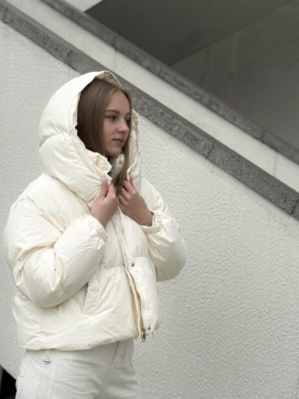 Изображение продукта