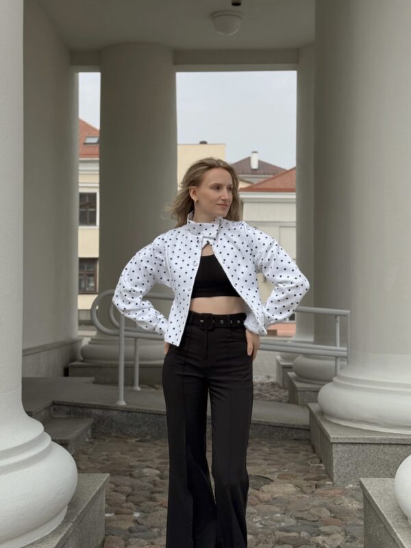 Изображение продукта